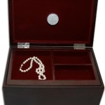 toibocks2 150x150 Luxury Sex Toy Guide 2009 